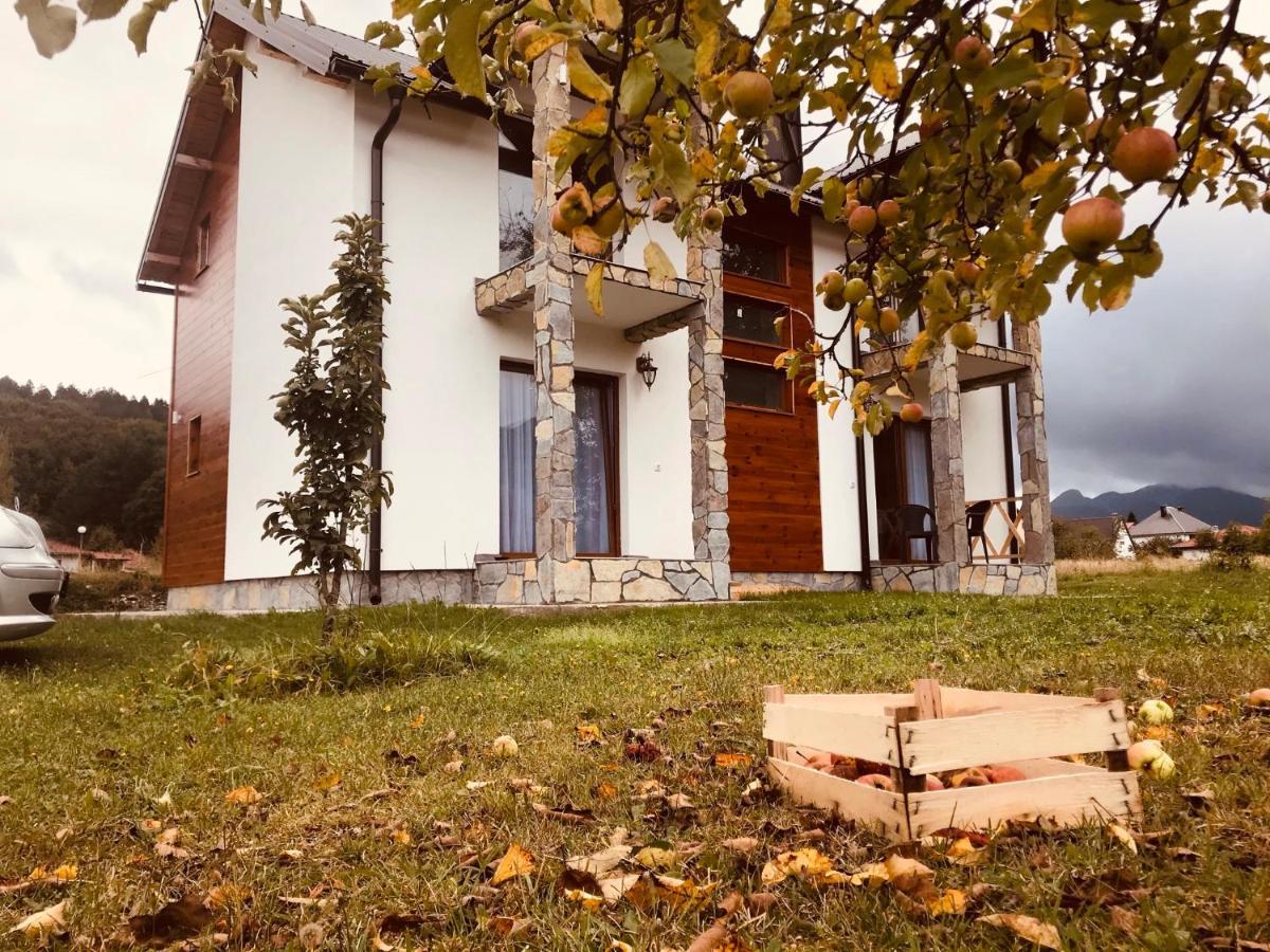 Vila Montenegrina Kolasin Bagian luar foto